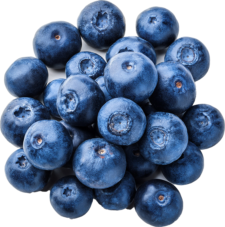 BLUEBERRIES