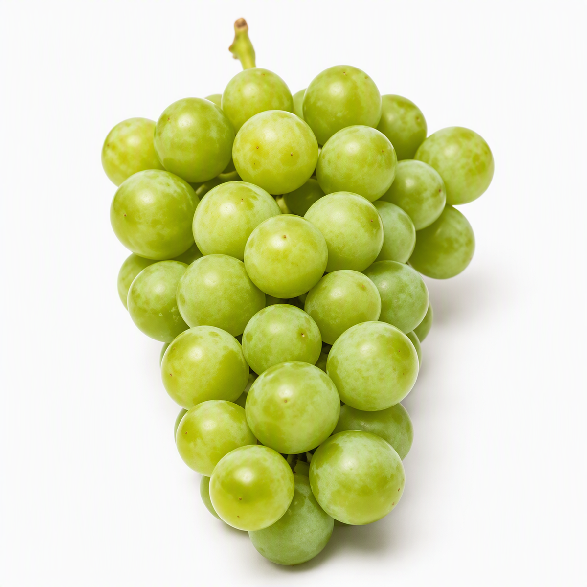 Niagara Concord Grapes, 1.5 lb