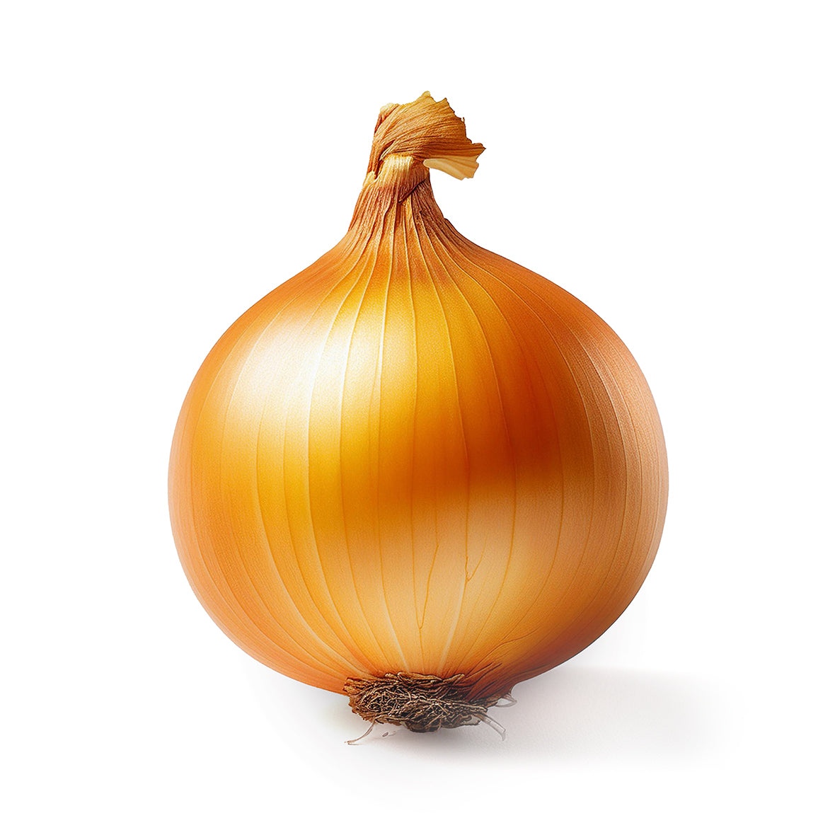 YELLOW ONIONS, 2 LBS