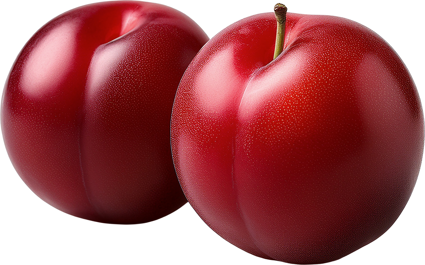 PLUMS, RED