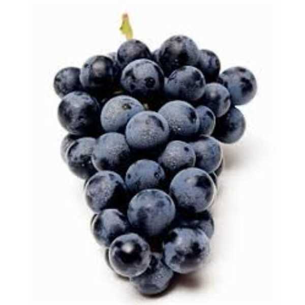 Concord Grapes, 1.5 lb