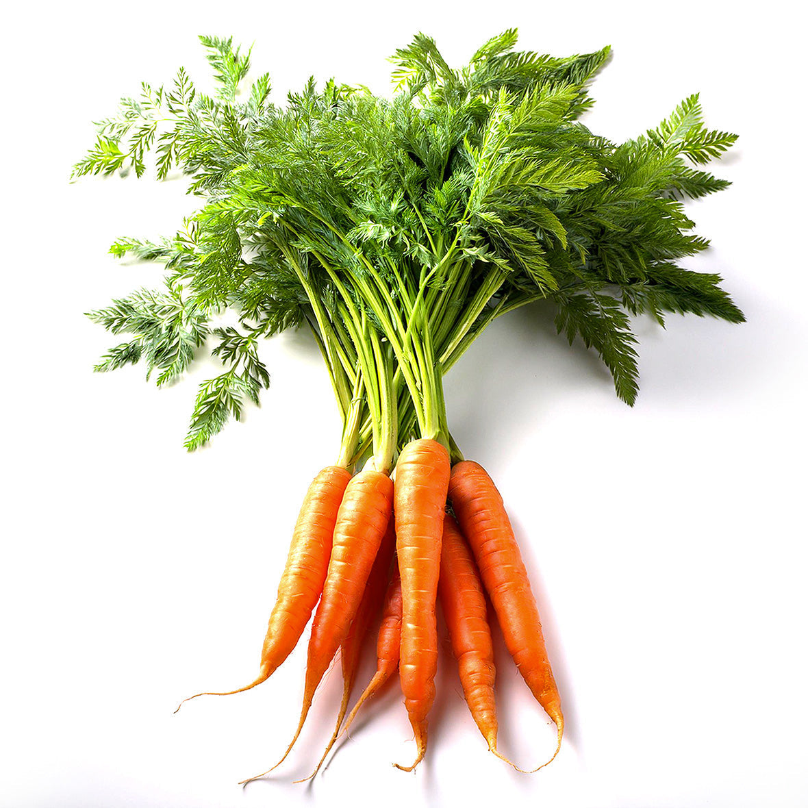 All Produce