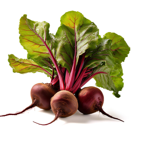 BEETS, Large