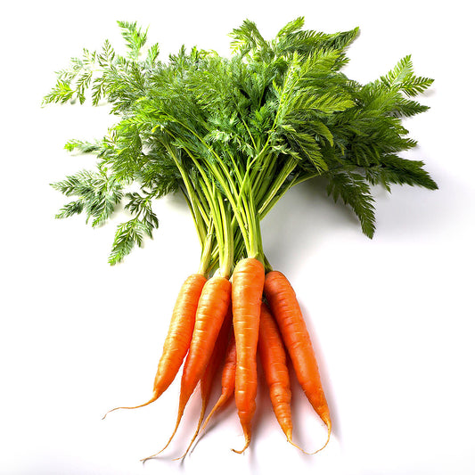CARROTS