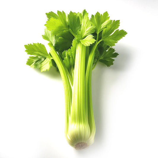CELERY, Bag