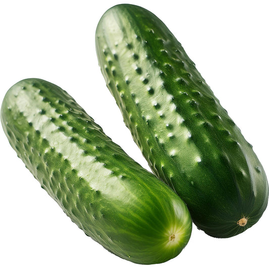 SEEDED CUCUMBERS