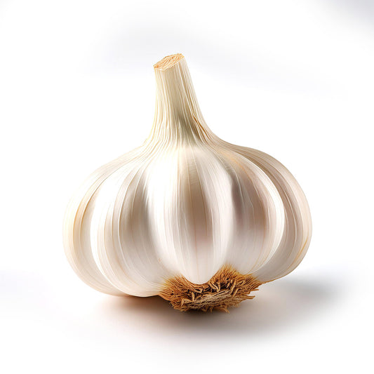 GARLIC