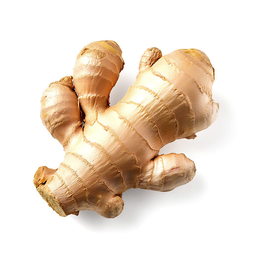 GINGER