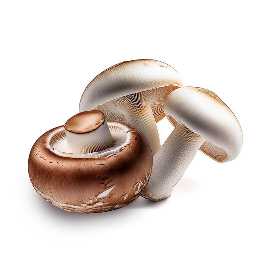 PORTABELLA MUSHROOMS