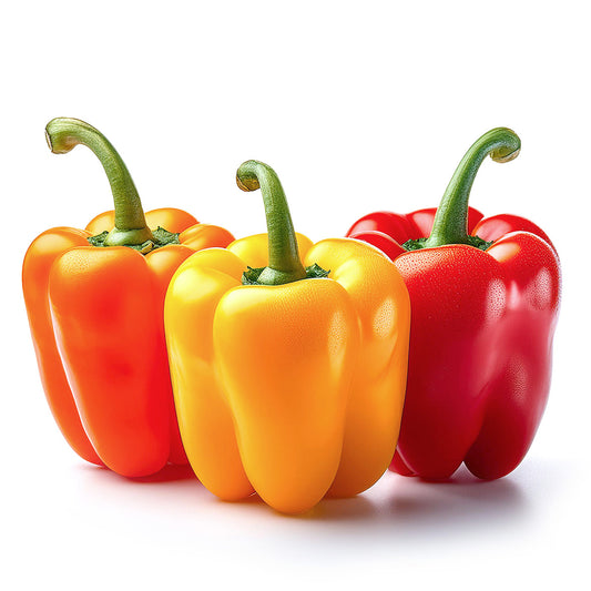 RAINBOW BELL PEPPER, random color