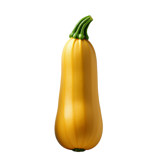 SUMMER SQUASH