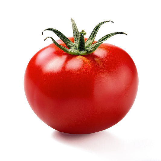 TOMATO, Large