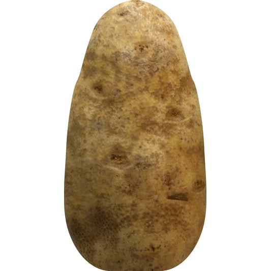 RUSSET POTATOES