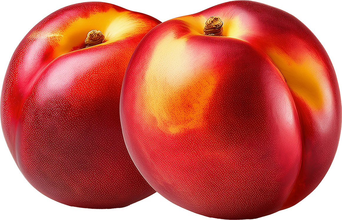 NECTARINES