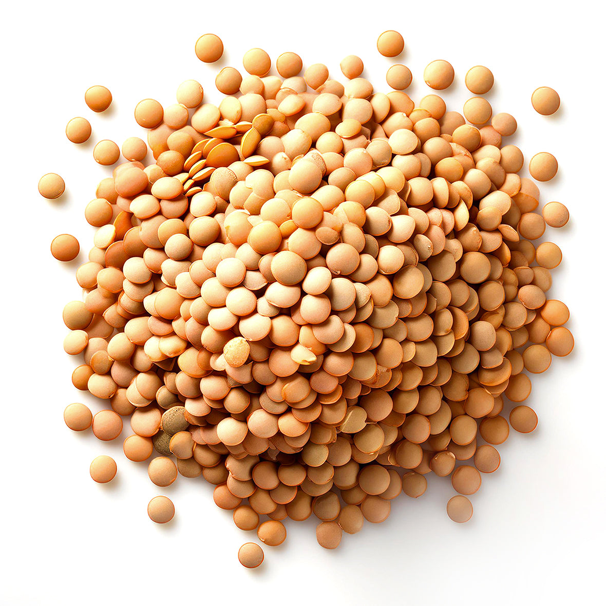 LENTILS, Dried