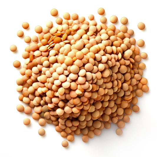 LENTILS, Dried